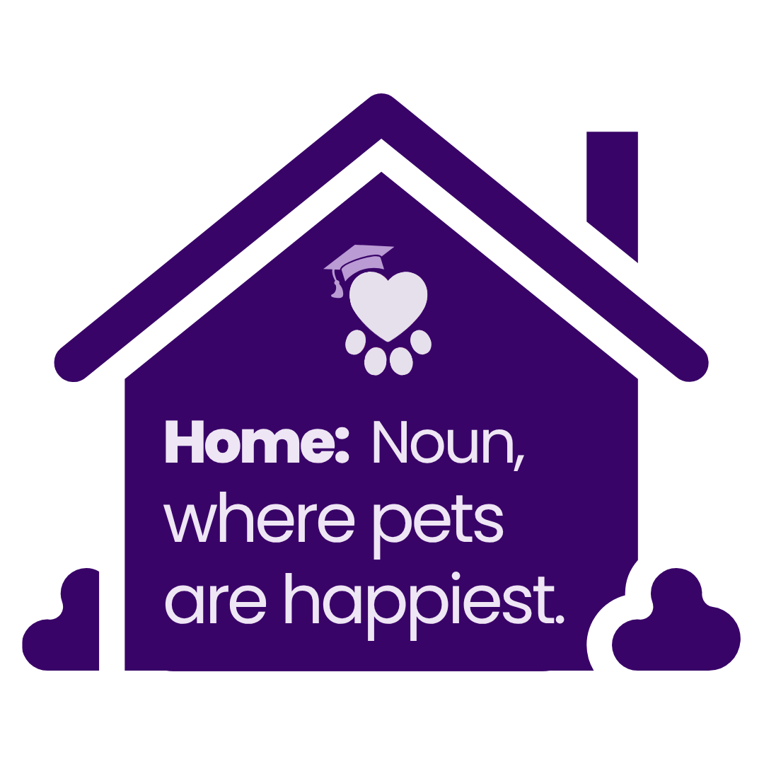 Pets are happiest at home - Get PetWise in-home pet care services