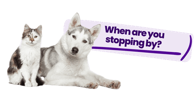 When are you stopping by, to book pet care?