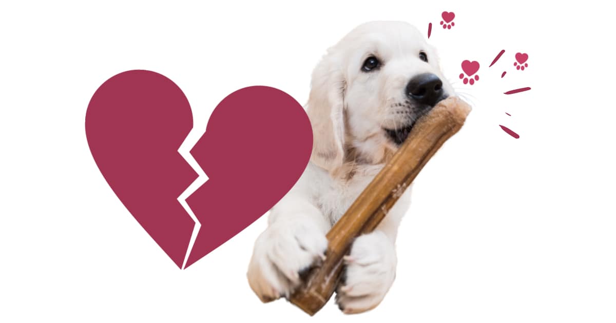Deadly dog dental chews
