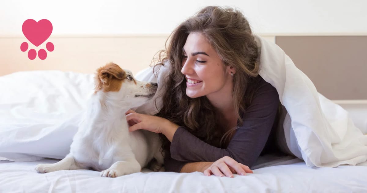 Pet Friendly Apartments and housing in Moore County NC